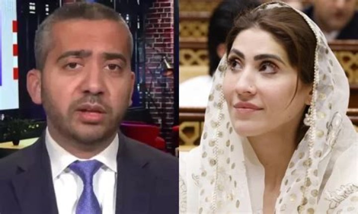 Find The Partner Of Journalist: Mehdi Hasan's Wife