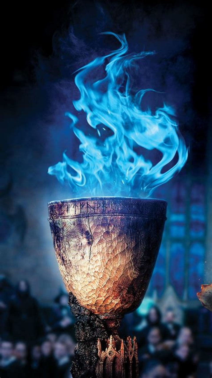 Goblet of Fire Harry Potter Photo (33966479) Fanpop