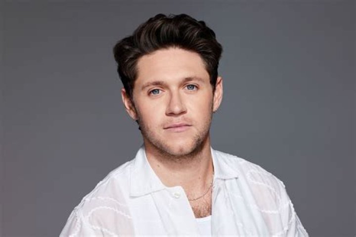 Who Is Niall Horan's Girlfriend? All About Amelia Woolley